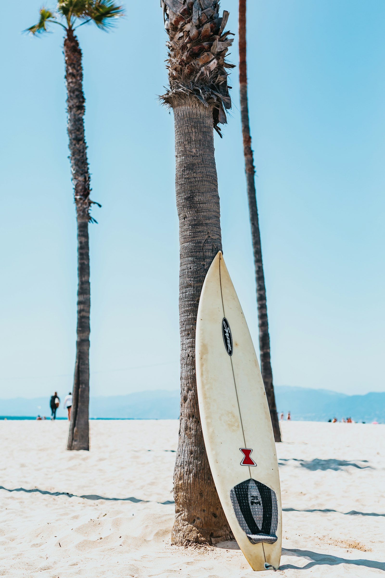 Boat on trailer near palm trees